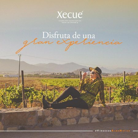 Vinos Xecue Hotel Ensenada Ngoại thất bức ảnh